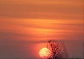 sunset