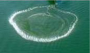 Fishing Net