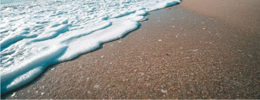 beach shore