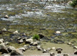 river bank