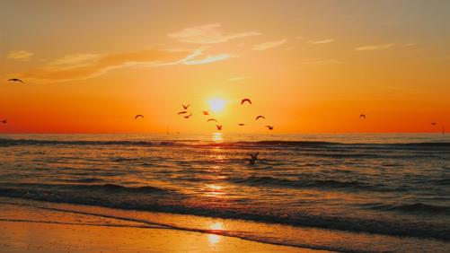 sunset