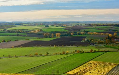 farmland