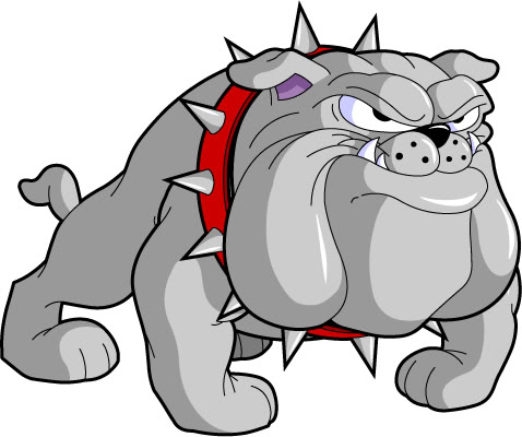 bulldog with spiked collar