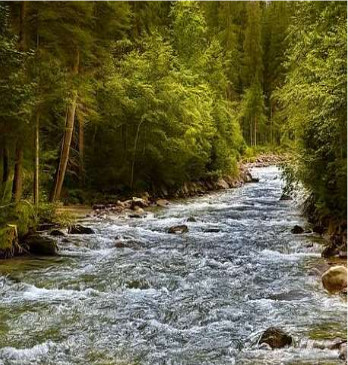 stream