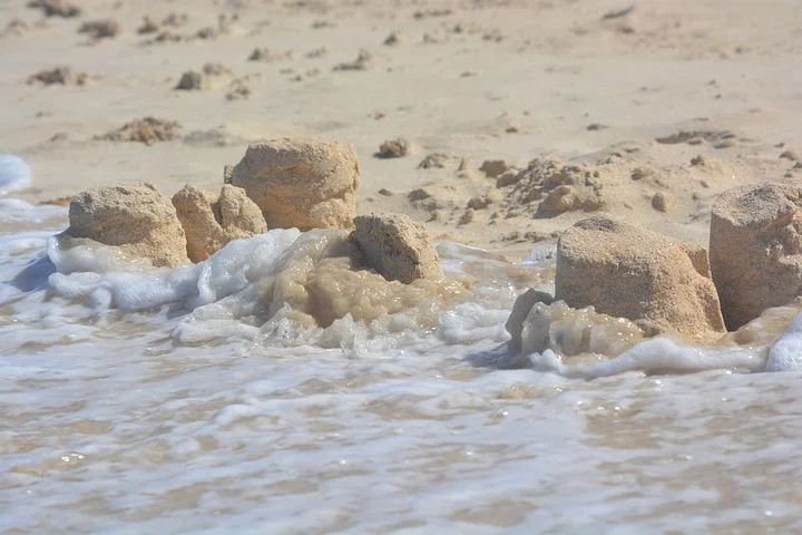 sandy shore